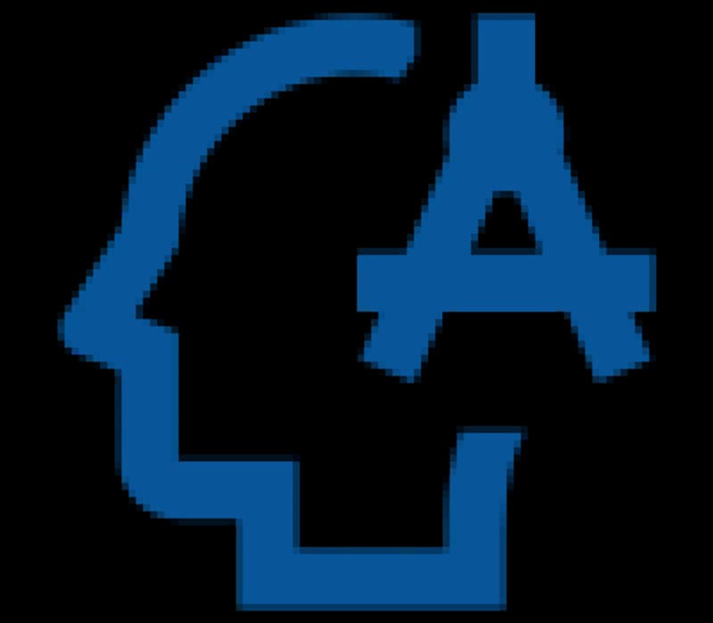 icon 18 accountability