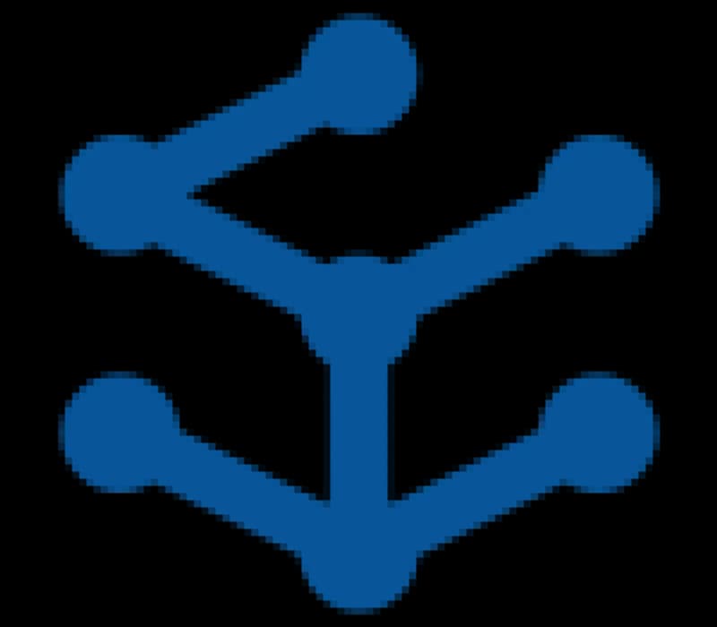 icon 16 diversification